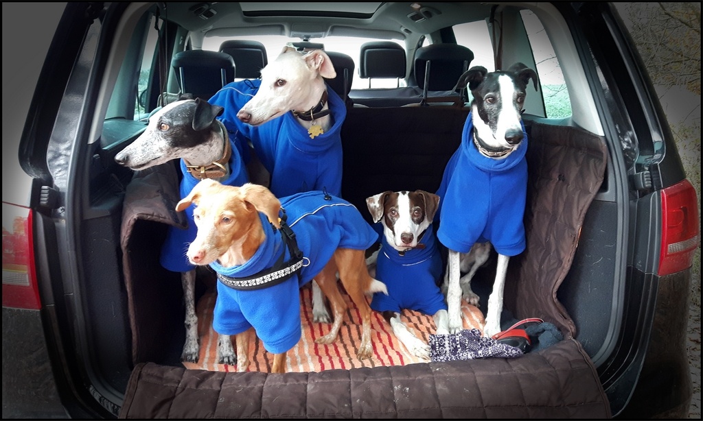 20161115_091248 (Kopie).jpg