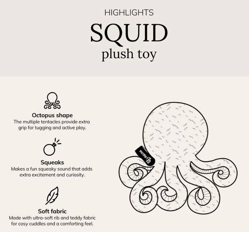 Squid_Info.jpg