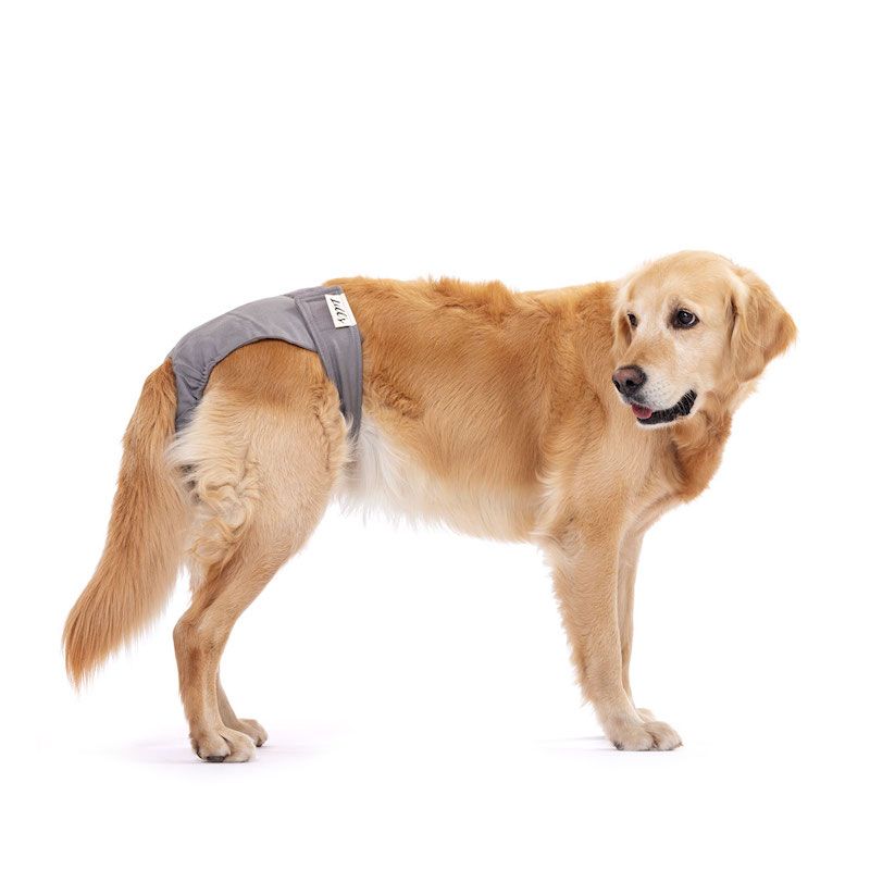 Lill's Läufigkeitshöschen "LOU"