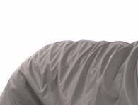 Hund im neongelben Regenmantel mit Reflektoren