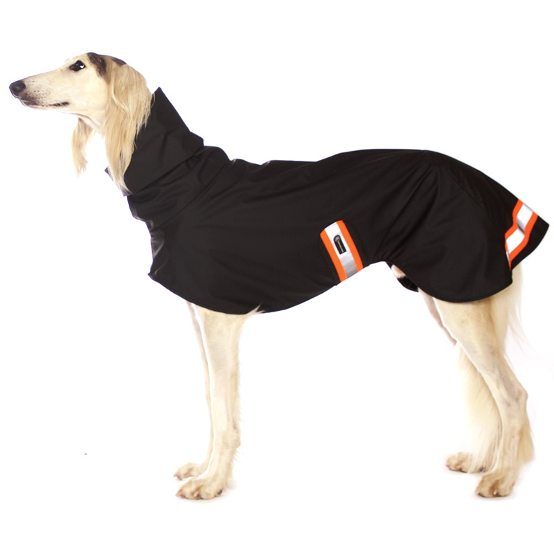 Hund im schwarzen Regenmantel mit Reflektoren und Neonfarbenen Abzeichen