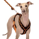 Sportgeschirr Y Small Pawprint