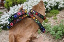 TKC Arani Dots Narrow