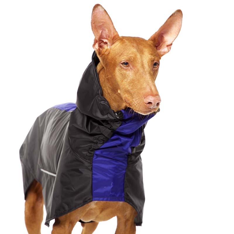 S&D Manuel Rain L1 Blau