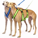 Sportgeschirr Y Double