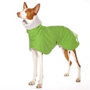 Hund im grünem Regenmantel mit weißem Plüschfutter