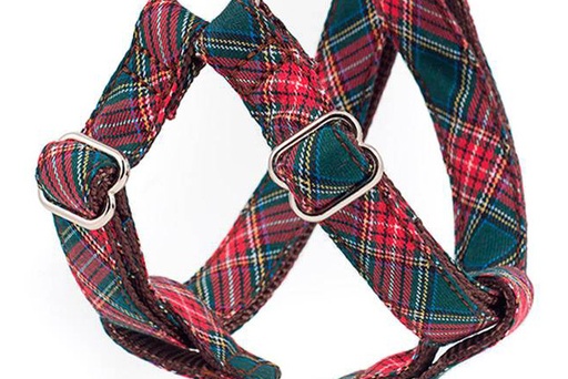 3-Punkt-Geschirr BERET