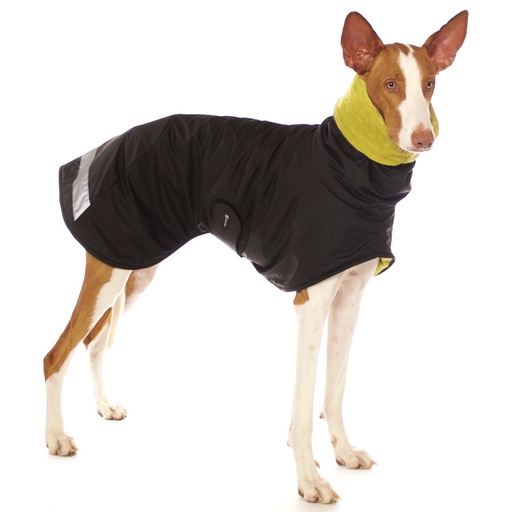 Hund im schwarzen Regenmantel mit Plüschfutter