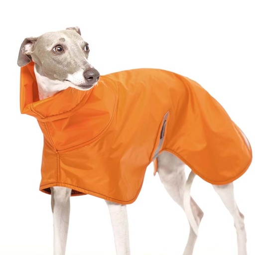 Hund im orangefarbenen Regenmantel