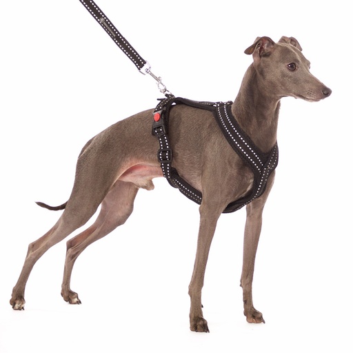 Sportgeschirr Y Small Reflex